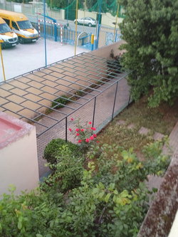 Allée vers garage et jardin