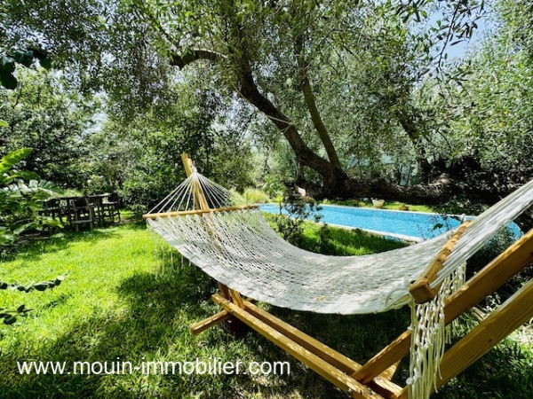 JARDIN ET PISCINE