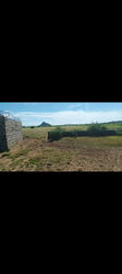 Terrain