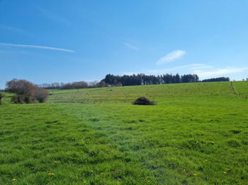 Annonce Vente Roche Ardenne terrain bâtir 19a 43ca Roche-en-Ardenne