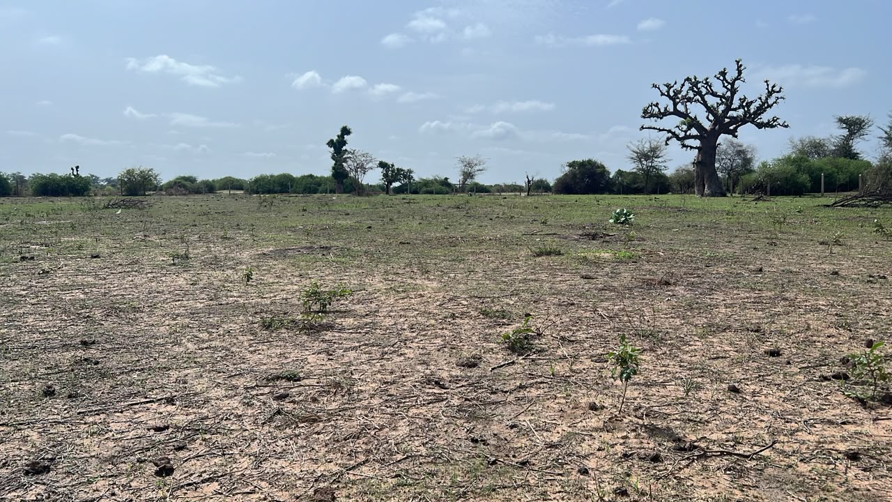 terrains 300 mètres carrés  à vendre à Somone