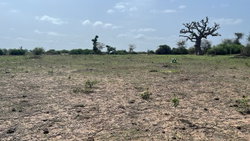 terrains 300 mètres carrés  à vendre à Somone