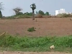 terrain