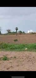 terrain