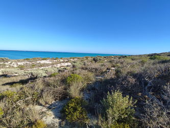 Annonce Vente Terrain mer 5289m2 face aux parallèles d&#039;Ankasy Tuléar Madagascar Toliara