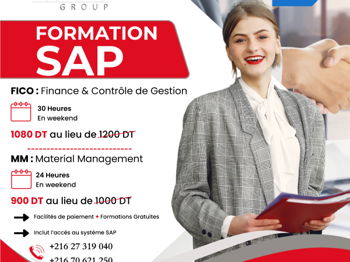 Formation SAP Certifiante Tunis Tunisie