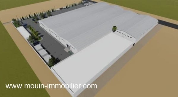 Location usine bazad beni khiar Hammamet Tunisie