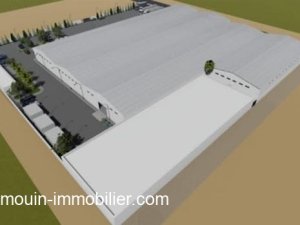 Location usine bazad beni khiar Hammamet Tunisie