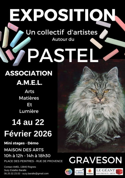 Exposition de l'amel
