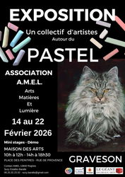 Exposition de l'amel