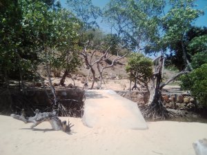 Vente terrain plage nosy be Ile Nosy Be Madagascar