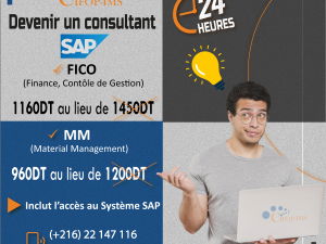 devenir 1 consultant sap fico &amp; mm Tunis Tunisie