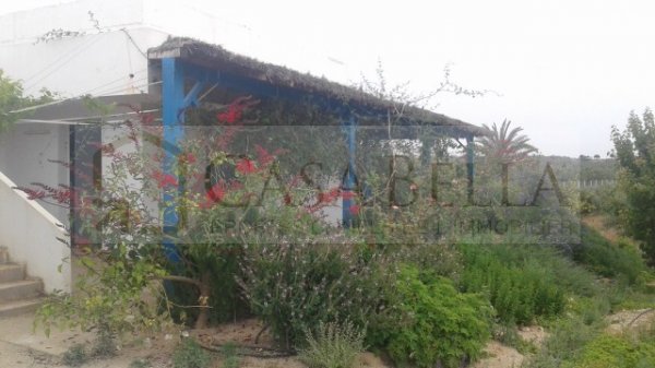 Vente Sidi Bou Ali proche Tunisie Lait 1 ferme 13000 M&sup2