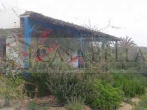 Vente Sidi Bou Ali proche Tunisie Lait 1 ferme 13000 M&amp;sup2