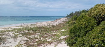 Annonce Vente 1 TERRAIN 1HA MER DIEGO SUAREZ Antsiranana Madagascar