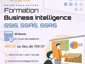formation business intelligence Tunis Tunisie