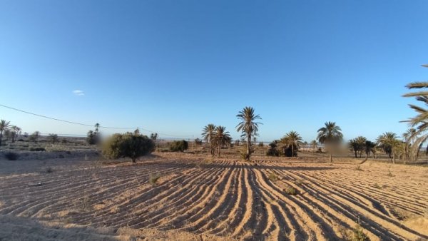 Vente 5000 m² vue mer Djerba Ghizen Tunisie
