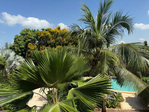 Grand terrain magnifiquement arboré