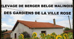 notre élevage