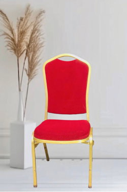Chaise vip 4