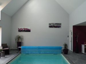 espace piscine et spa