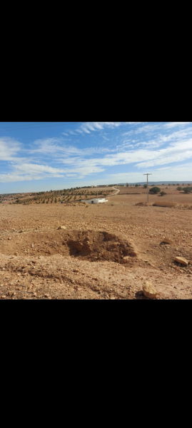 Vente Terrain 5 agricole el hanchane Essaouira Maroc