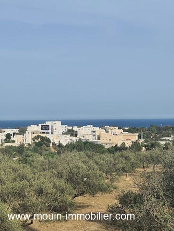 Vente TERRAIN LORA Hammamet Nord Mrezka Tunisie