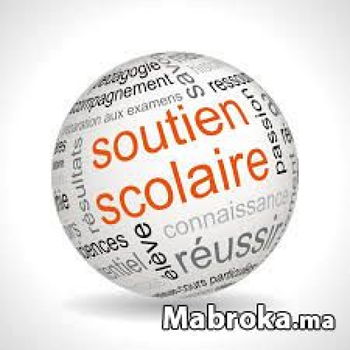 Soutien coaching scolaire durant tte l'année préparation exams PFE etc