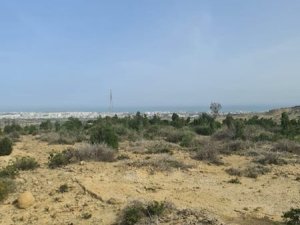 Vente TERRAIN BADR Hammamet Nord Tunisie