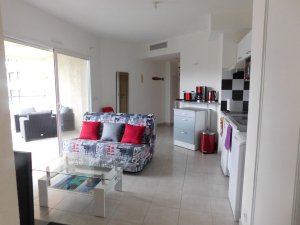 Location appartement type t2 100 m des plages Calvi Corse