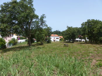 Vente 2430 Terrain construire Caldas da Rainha 7106 m2 Portugal