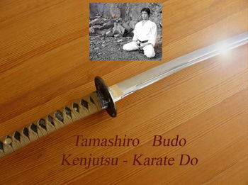 Annonce Cours Kenjutsu Iaido karate do zen 7e Dan Japon Paris sud 14