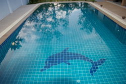 la piscine