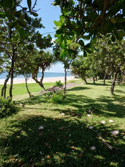 TERRAIN
