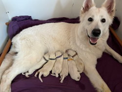 Romy et ses bébés