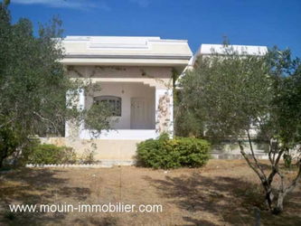 Vente VILLA YAKOUT y Hammamet Nord Tunisie