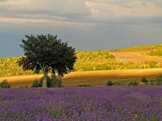 Location vacances Vacances Luberon Provence Apt Vaucluse