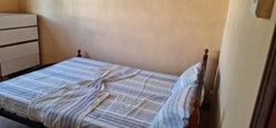 Chambre avec un grand lit