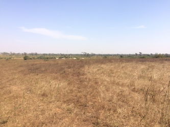 Vente TERRAIN 2 HECTARES NGUEKHOKH M&#039;Bour Sénégal