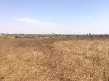 Vente TERRAIN 2 HECTARES NGUEKHOKH M&#039;Bour Sénégal