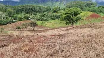 Vente Terrain Unique 2533 m² Paopao Moorea Lot Moorea-Maiao Polynésie Fran&amp;ccedil;aise