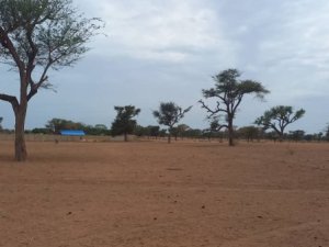 Terrain agricole de 1 hectare à Malicounda
