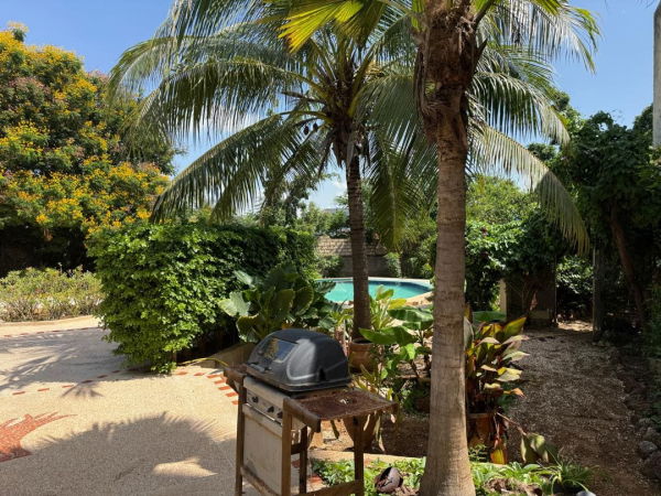 Grand terrain magnifiquement arboré