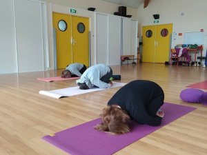 Séances yoga pour adultes Heuqueville Seine Maritime