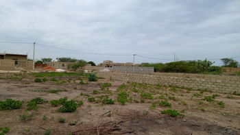 Vente terrain 300 metres carrés à Somone