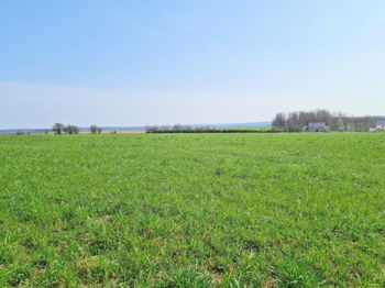 Annonce Vente Daverdisse Belgique terrain batir 10a 01ca Neufchateau