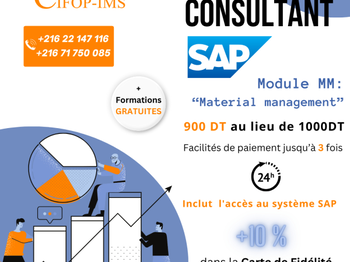 Consultant SAP MM Material Management Tunis Tunisie