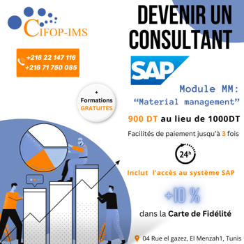 Consultant SAP MM Material Management Tunis Tunisie