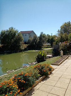 La rivière (Vendée)