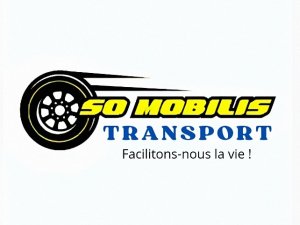 Annonce Transport marchandises/Services déménagement Dakar Sénégal